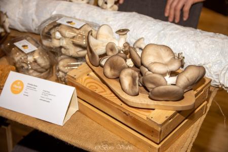 BORZA LOKALNIH ŽIVIL_2025 (53)